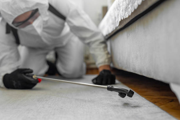 Professional Ant Control technician working in Longbranch, WA