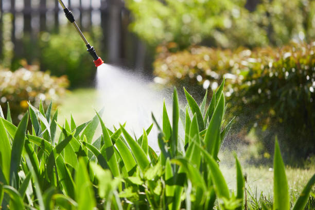 24/7 Emergency Ant Control experts in Longbranch, WA